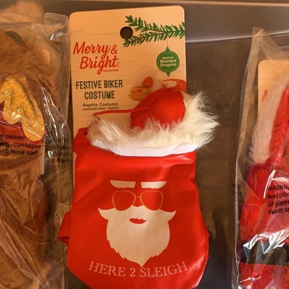 Reptile costume - Picture 4 of 9